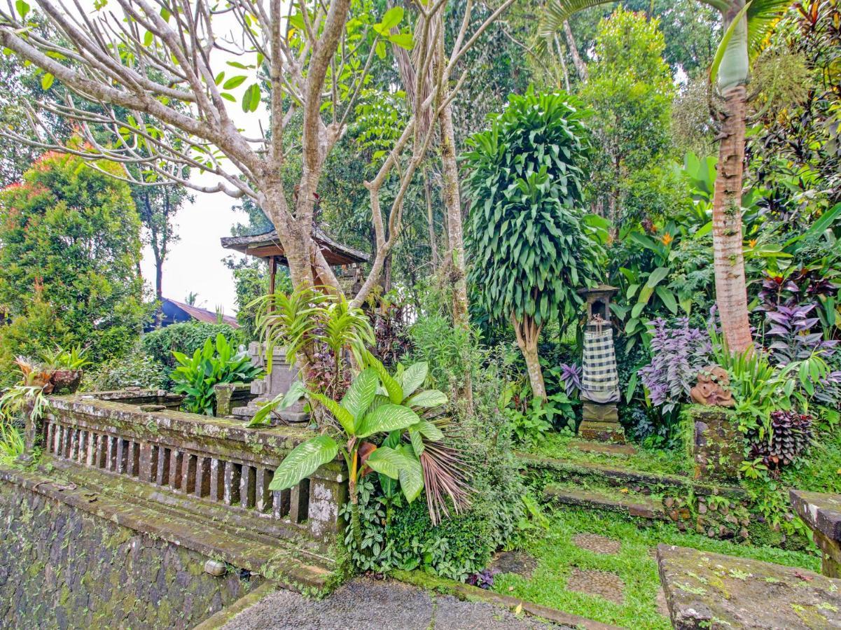 OYO Homes 91091 Desa Wisata Umejero Munduk Exterior foto